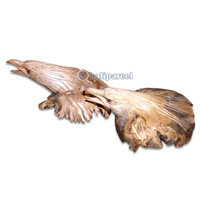 Wooden Eagle Head Parasite Wood