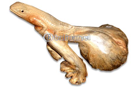 Wooden Lizard Parasite Wood