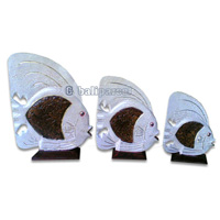 Tropical Fish Set Of 3 With Stand, Handcarved From Albesia Wood