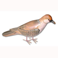 Bird With Painted, Hand Carved From Albesia Wood.