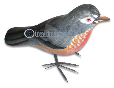 Bird With Painted, Hand Carved From Albesia Wood.