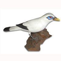 Bird With Painted, Hand Carved From Albesia Wood.