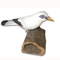 Bird With Painted, Hand Carved From Albesia Wood.