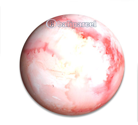 Egg Shaker Airbrushed, Handcarved From Mahogany Wood