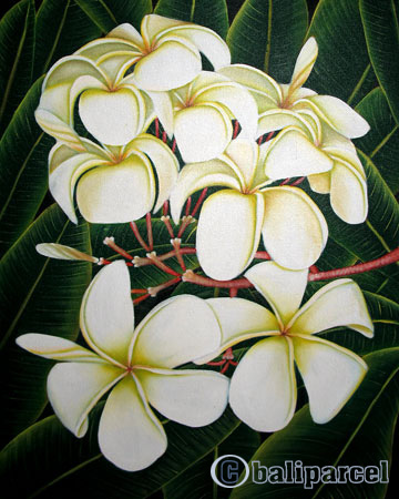 Plumeria Flower, Acrylic On Canvas