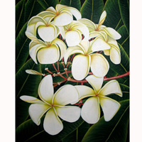 Plumeria Flower, Acrylic On Canvas