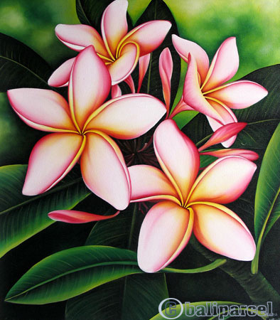 Plumeria Flower, Acrylic On Canvas