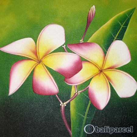 Plumeria Flower, Acrylic On Canvas