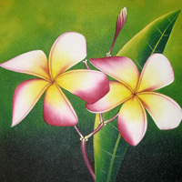 Plumeria Flower, Acrylic On Canvas