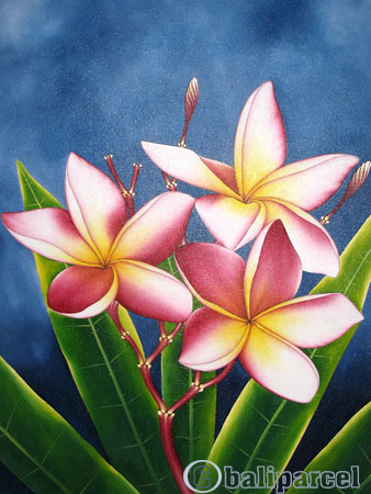 Plumeria Flower, Acrylic On Canvas