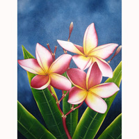 Plumeria Flower, Acrylic On Canvas