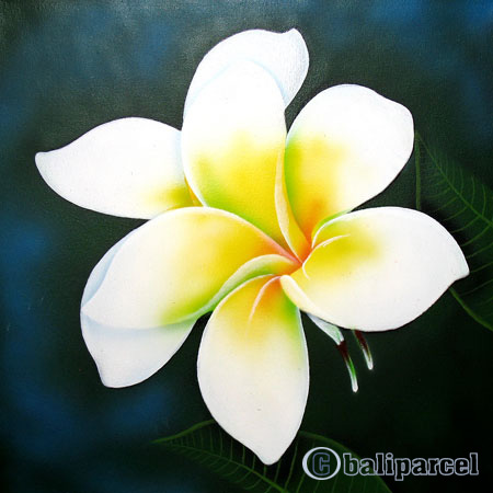 Plumeria Flower, Acrylic On Canvas