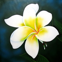 Plumeria Flower, Acrylic On Canvas