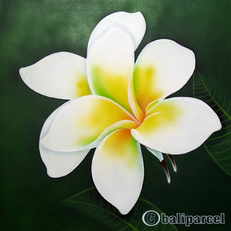 Plumeria Flower, Acrylic On Canvas