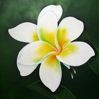 Plumeria Flower, Acrylic On Canvas