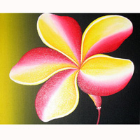Plumeria Flower, Acrylic On Canvas