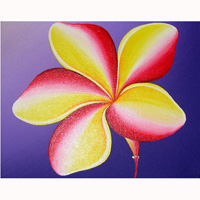Plumeria Flower, Acrylic On Canvas