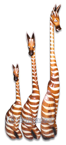Sitting Giraffes Set Of 3, Handmade From Albesia Wood