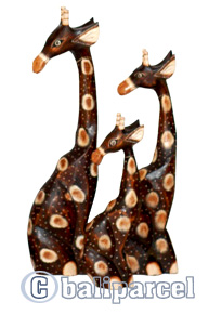 Sitting Giraffes Set Of 3, Handmade From Albesia Wood
