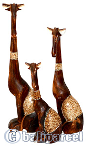 Sitting Giraffes Set Of 3, Handmade From Albesia Wood