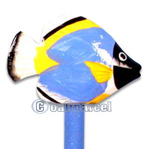 Wooden Fish Pencil