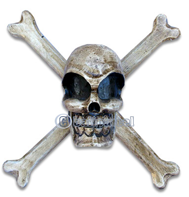 Skull, Handmade From Albesia Wood  