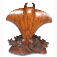 Wooden Manta Ray Carving, Handcarved From Suar Wood