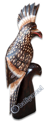 Wooden Cockatoo Bird, Hand Carved From Albesia Wood
