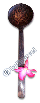 Wooden Big Spoon, Hand Carved From Coconut Wood
