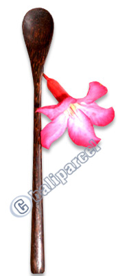 Wooden Long Spoon, Hand Carved From Coconut Wood