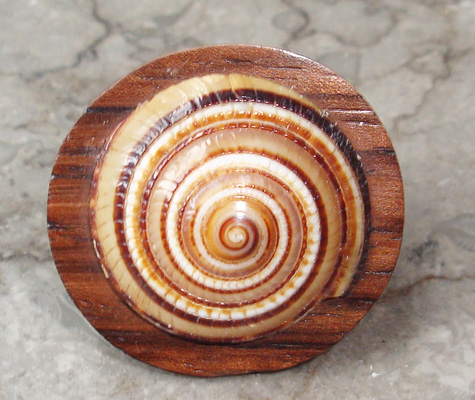 Wooden Ring From Sono Wood Inlaid With Shell