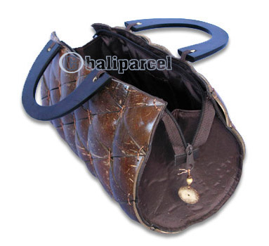 Coconut Shell Bag