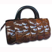Coconut Shell Bag