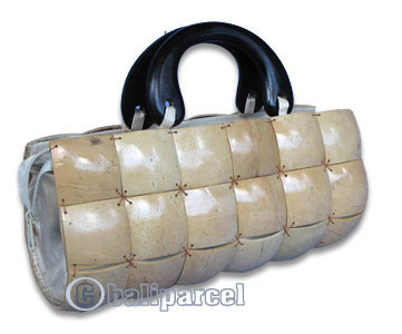 Coconut Shell Bag