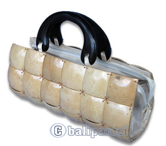 Coconut Shell Bag