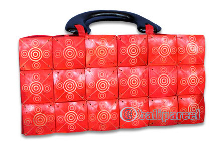 Coconut Shell Bag