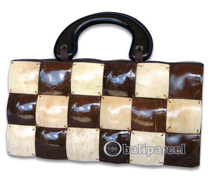 Coconut Shell Bag