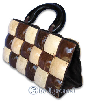 Coconut Shell Bag