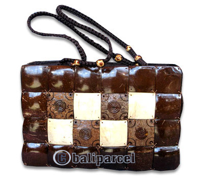 Coconut Shell Bag