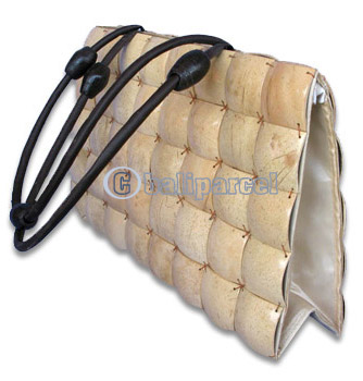 Coconut Shell Bag
