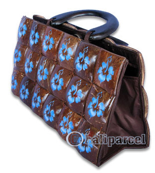 Coconut Shell Bag