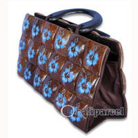 Coconut Shell Bag