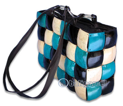 Coconut Shell Bag