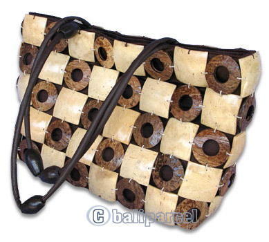 Coconut Shell Bag