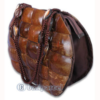 Coconut Shell Bag
