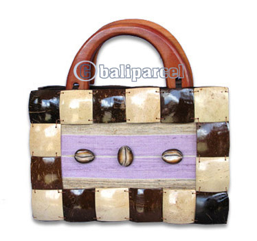 Coconut Shell Bag