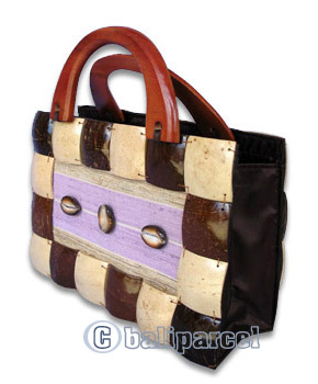 Coconut Shell Bag