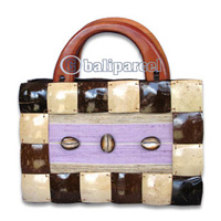Coconut Shell Bag