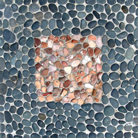 Stepping Stone
