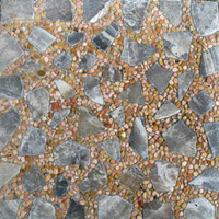 Stepping Stone